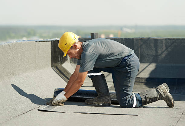 Best Best Insulation Companies  in Dumas, AR